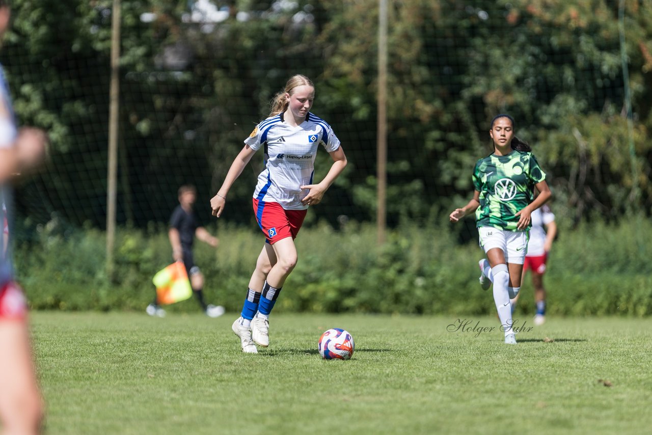 Bild 271 - wBJ Hamburger SV - VfL Wolfsburg : Ergebnis: 5:1